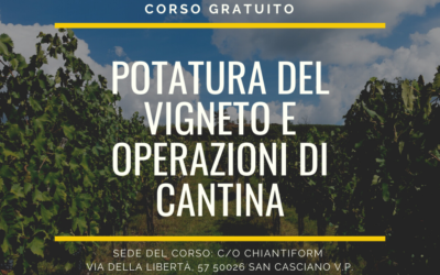 Potatura della vite e gestione della cantina