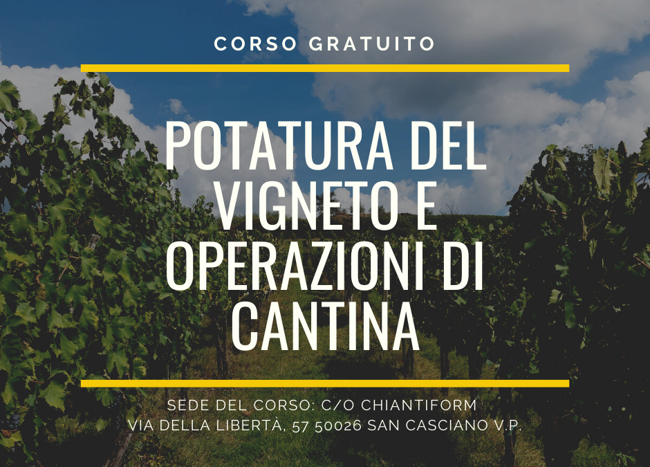 Potatura della vite e gestione della cantina