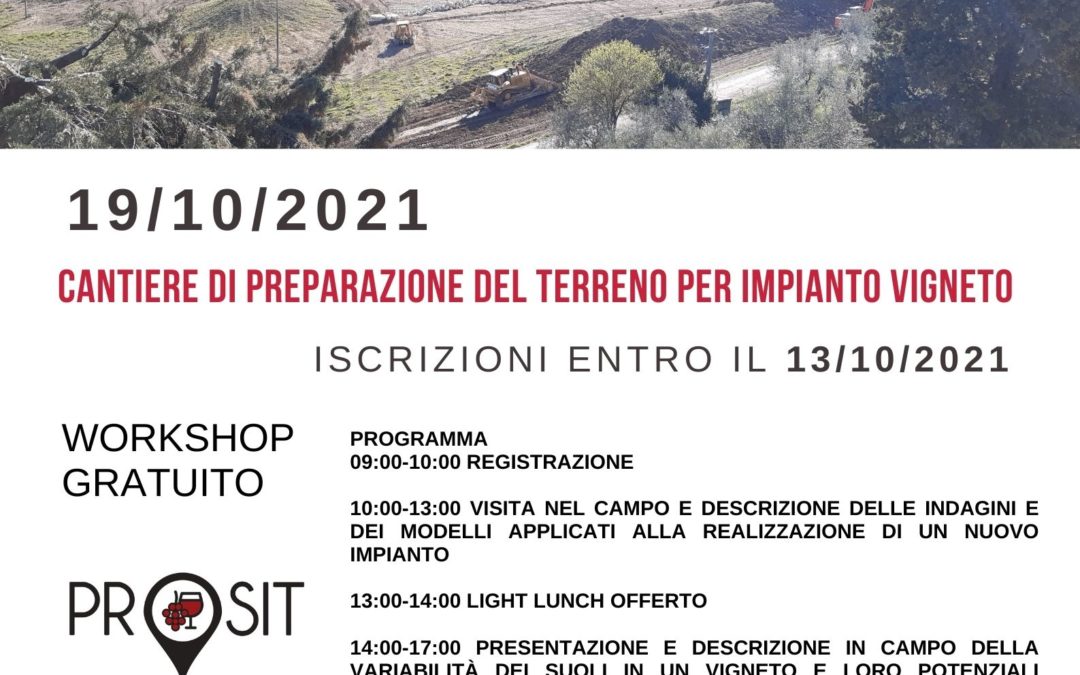 WorkShop: Cantiere di preparazione del terreno per impianto vigneto