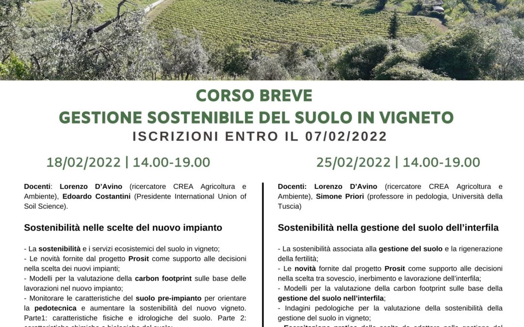 Corso breve: gestione sostenibile del suolo in vigneto